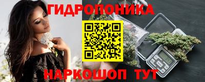 крисы Тулун