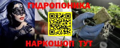 крисы Тулун