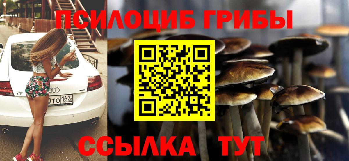 Галлюциногенные грибы Psilocybe  Галлюциногенные грибы ЛСД  Вход с VPN  купить наркоту  Нерюнгри 