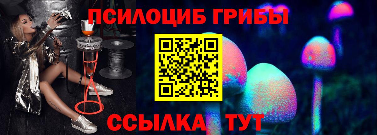 Галлюциногенные грибы прущие грибы Нерюнгри