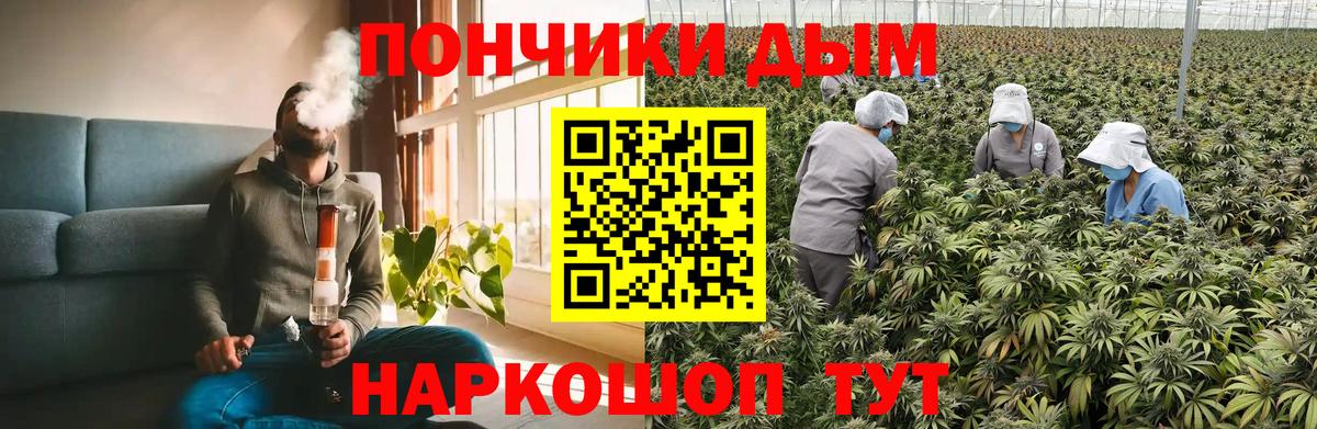 Канабис AK-47  Шишки марихуана конопля  Нерюнгри  Вход с VPN  Шишки марихуана индика  Бошки марихуана конопля 